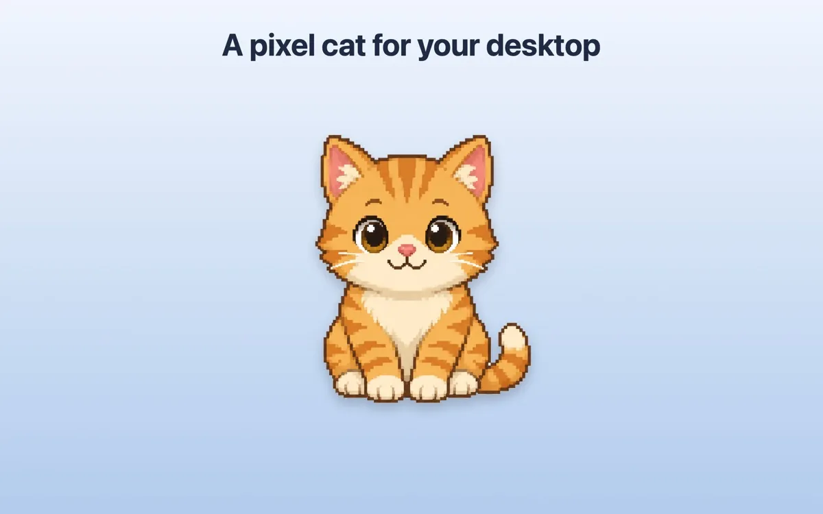 Bitkitty screenshot