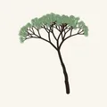 Bonsai Snip